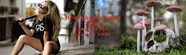 ALPHA PVP Белоозёрский